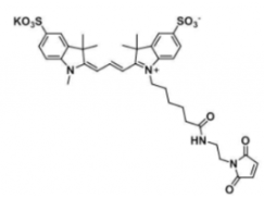 ˮԻɹȾdiSulfo-Cy3 maleimide/RCAS:1656990-68-9ܽȽ