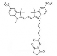 ˮdiSulfo-Cy3 NHS ester/׻ (Methyl)CAS:1424150-38-8ʲôɫ