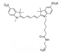 ˮԶdiSulfo-Cy5 amine/NH2/(Methyl׻)Ex/Em(nm) 646/662