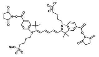 ˮԻɹȾdiSulfo-Cy5 bis-NHS ester/ ܽԣwater,alcohols, DMSO, DMF