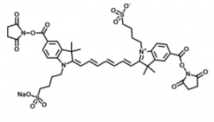 ˮԶdiSulfo-Cy7 Bis-NHS ester/ ܽΣЩ܄