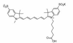 ˮԶɹȾdiSulfo-Cy7 carboxylic acid/COOH/Ȼ(Methyl׻)CAS:1251915-04-4