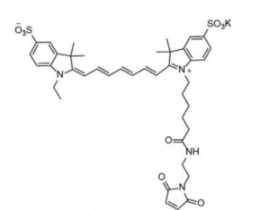ˮԶɹȾdiSulfo-Cy7 maleimide/R(Ethylһ)CAS:1422279-40-0water,alcohols, DMSO, DMF