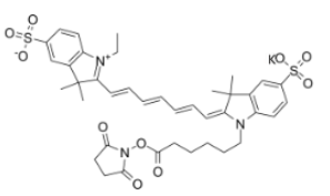 ˮԶdiSulfo-Cy7 NHS ester/(Ethylһ)CAS:477908-53-5Gɫwĩ