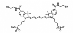 ˮݼGɹȾdisulfo-ICG Bis-Thiol/Ex/Em(nm) 755/787
