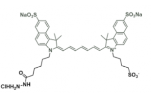 ˮݼGɹȾdiSulfo-ICG Hydrazide/£Ex/Em(nm) 751/830
