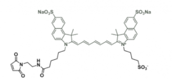 ˮݼGɹȾdiSulfo-ICG maleimide/Rl(f)l(f)䲨LEx/Em(nm) 751/830