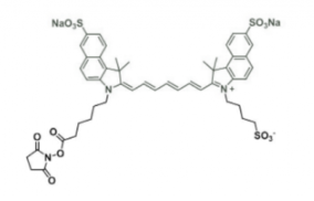 ˮݼGdisulfo-ICG NHS ester/Ex/Em(nm) 751/830