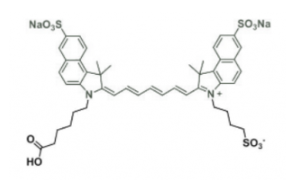 ݼGɹȾICG carboxylic acid/COOH/ȻCAS:181934-09-8Cy7.5 Acid(mono SO3)
