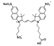 ˮԟɹȾtrisulfo-Cy3.5 carboxylic acid/COOH/Ȼl(f)l(f)䲨L(zhng)Ex/Em(nm) 585/610