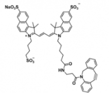 ˮȾtrisulfo-Cy3.5 DBCO/h(hun)ȲEx/Em(nm) 585/610