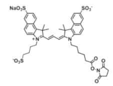 ˮ?z)ɹȾtrisulfo-Cy3.5 NHS ester/Ex/Em(nm) 585/610