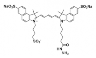 ˮɹȾtriSulfo-Cy5.5 HydrazideEx/Em(nm) 673/691 ĮaƷYʽ