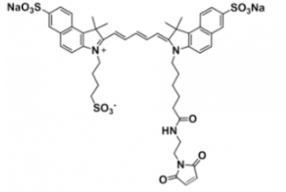 ˮtriSulfo-Cy5.5 maleimide/R(li)ܽ water,alcohols, DMSO, DMFEx/Em(nm) 673/691