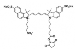 ˮtrisulfo-Cy5.5 NHS ester/Ex/Em(nm) 673/691 a(chn)ƷBY(ji)(gu)ʽ