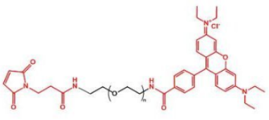 ɹȾ_-Ҷ-RRhodamine-PEG-MaleimideܽȼY(ji)(gu)ʽ