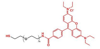_ҶRhodamine-PEG-thiolRB-PEG-SHa(chn)Ʒ|(zh)Y(ji)(gu)ʽ