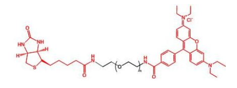 _ҶأRB-PEG-BNRhodamine-PEG-BIOTINa(chn)Ʒ