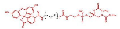 ɹؘ(bio)ӛҶ֬F(xin)ITC-PEG-DSPE (du)惦(ch)lЩҪ