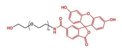 ɹؘ(bio)ӛҶuF(xin)ITC-PEG-OHĮa(chn)Ʒ|(zh)Y(ji)(gu)ʽ