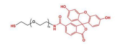 ɹؘӛҶF(xin)ITC-PEG-SHThiol-PEG-FITCF(xin)luorescent-PEG-SHa(chn)Ʒ
