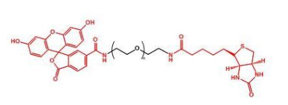 ɹؘ(bio)ӛҶF(xin)ITC-PEG-BiotinF(xin)luorescent-PEG-Biotina(chn)Ʒ|(zh)Y(ji)(gu)ʽ