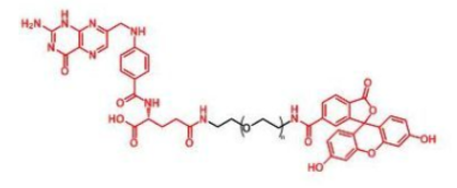 ɹؘ(bio)ӛҶ~ᣬF(xin)ITC-PEG-FAF(xin)luorescent-PEG-Folatea(chn)ƷP(gun)a(chn)Ʒ]