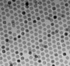 ܵ pbs cds l(f)1550nm 