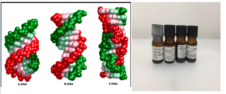 DNACdTe/CdSe˚c(din)
