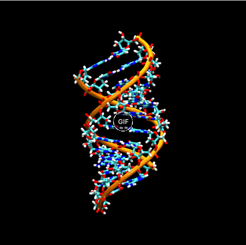 RNA(Ǻ)ż(lin)-8-׻ (m8A) w