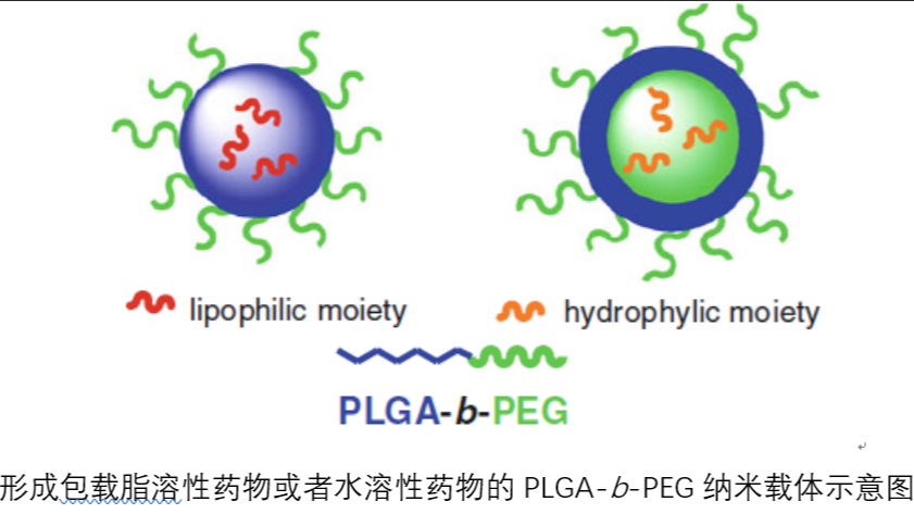 K-Ҷ-/uṲ(PEG-PLGA)dˎ{