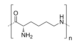 ΢Ž؈D_20220819100410.png