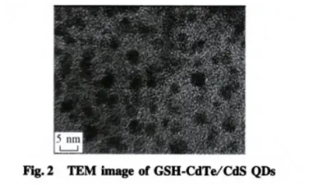 ׸ (GSH)CdSe/ZnSc(din)