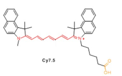 CY7.5ӛc
