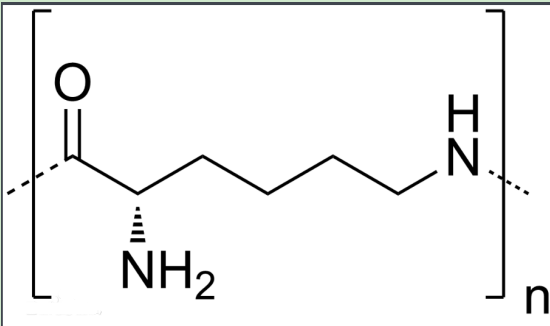 ¶-ه