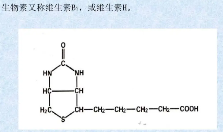 أBiotin