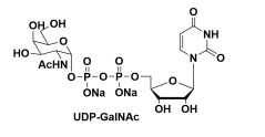 ऺ-5--N-Ƕc}CAS̖(ho):108320-87-2