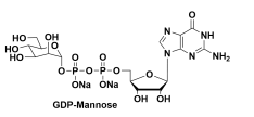 B5 '--d-¶c} GDP-¶ GDP-MAN, NA2 GDP-ALPHA-D-MANNOSE