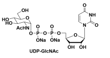 5-ऺ-N-ǰc}BRUDPAGSODIUMSALT