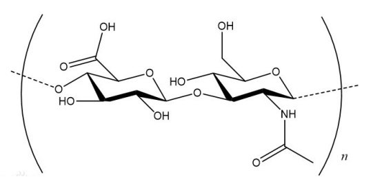 r-͸|(zh)