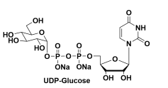 -5'-ǶcUridine-5?-diphosphoglucose, 2Na, UDP-Glc