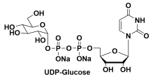 5'-()P'-BETA-D-ǻc}UDP-ALPHA-D-GLUCOSE, DISODIUM SALT