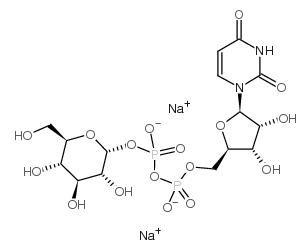 UDP-शǣUDP-GLC, NA2UDP-GLUCOSE DISODIUM SALT