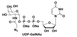 CAS#: 653600-61-4Uridine 5-diphospho-N-acetylazidogalactosamine disodium salt