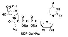 5'--N-Bǰc}UDP-GalNAzUDP-GalNAz.2NaCAS#: 653600-61-4