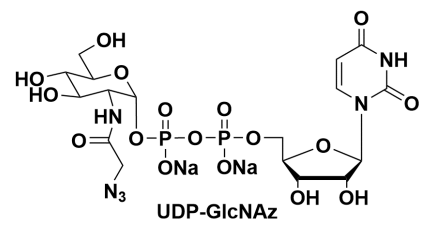 5'--N-Bǰc}Uridine 5-diphopho-N-acetylazidoglucosamine disodium salt