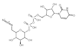 p-6-B-6-Ó-D-,CAS:537039-67-1UDP-6-N3-Glucose
