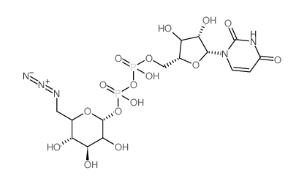 UDP-6-B-6-Ó-D-Ƕc}UDP-6-azido-6-deoxy-D-Glc537039-67-1