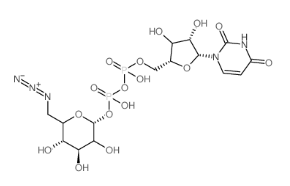 ǺUDP-6-azido-6-deoxy-D-glucose disodium salt/galactose