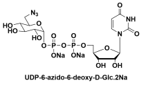 UDP-6-B-6-Ó-D-Ƕc}UDP-6-azido-6-deoxy-D-Glc.2Na/glucose
